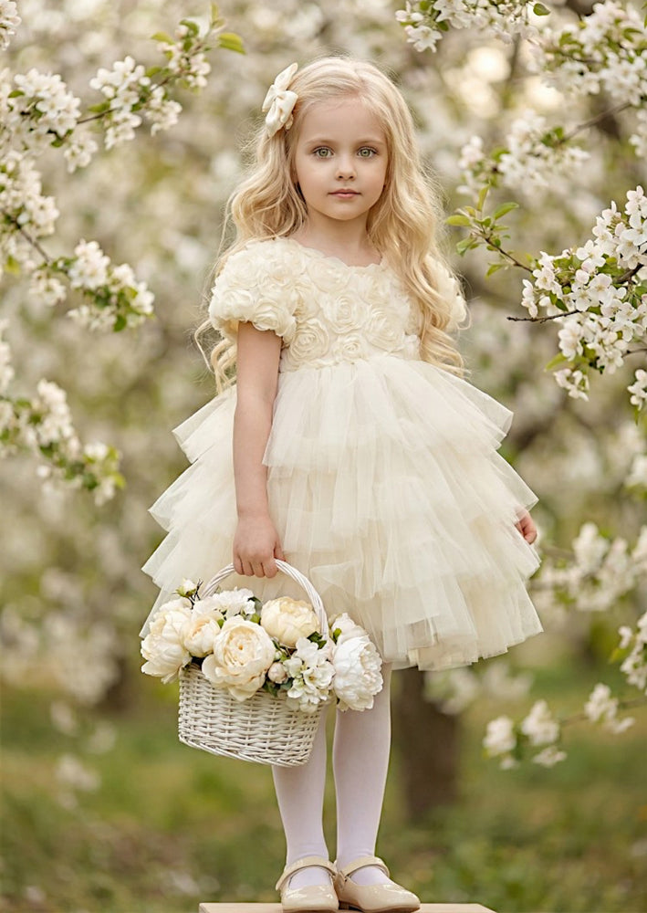 Girls Dress Ivory Rosette Bodice & Mesh